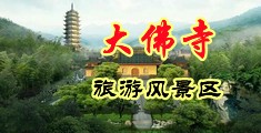 操女人逼免费看片中国浙江-新昌大佛寺旅游风景区